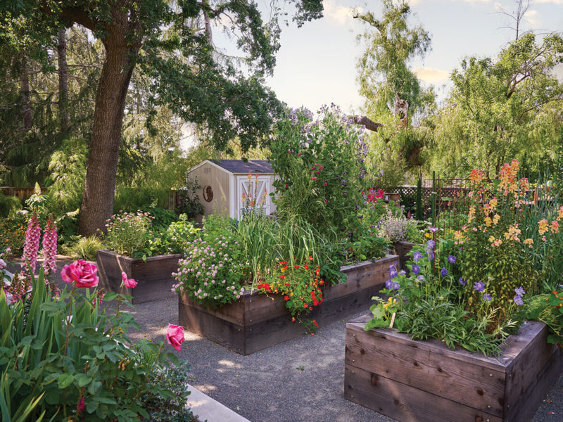 Garden with raised wooden planters filled with flowers and plants, surrounded by trees and greenery.
