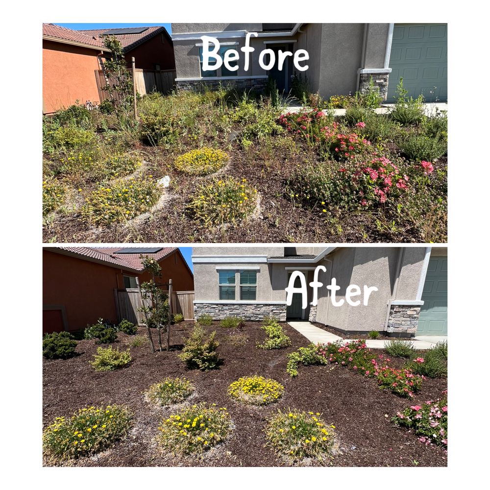Before and after comparison of a garden transformation with 'Before' and 'After' labels.