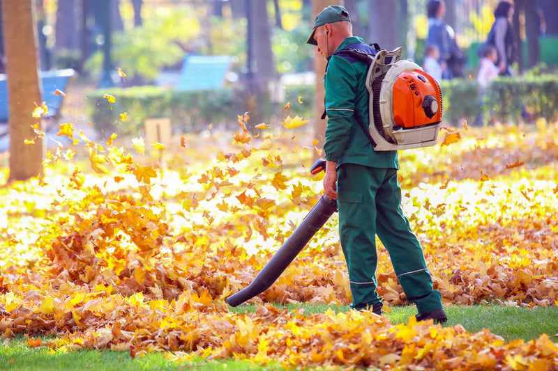 Person using a leaf blower to clear autumn leaves in a park.